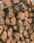 Poster - Wood Logs 01