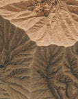 Poster - Desert Patterns 02