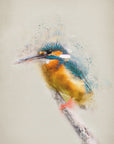 Poster - Colorful Kingfisher Bird