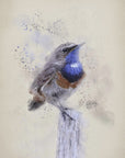 Poster - The Blue Throat Bird