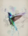 Poster - The Hummingbird