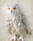 Poster - The Suspicious Owl