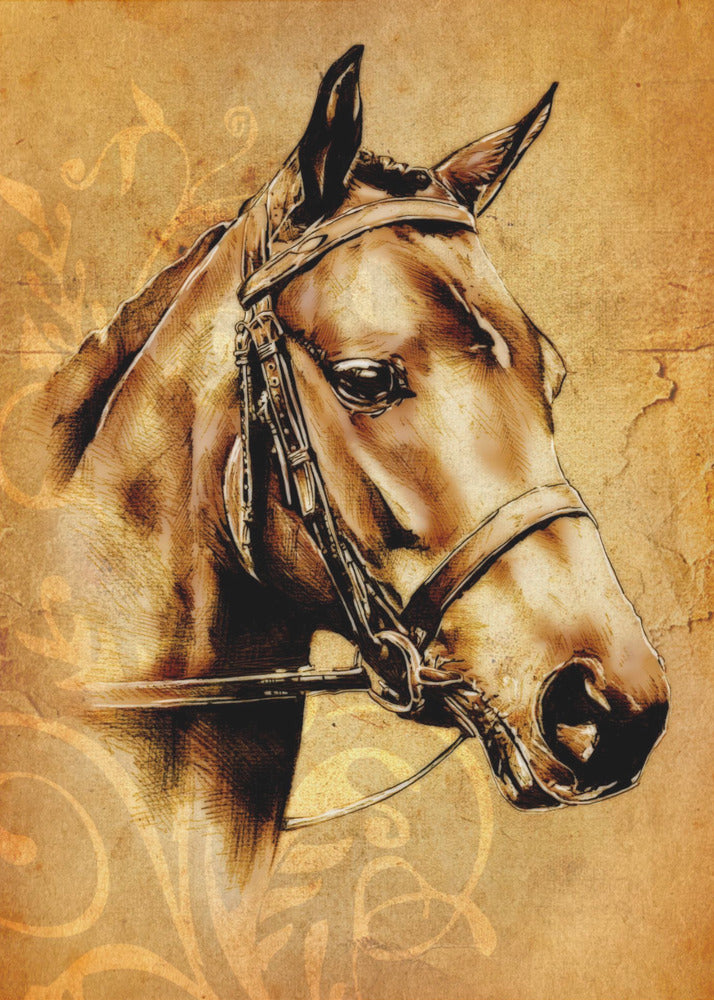 Poster - Horse Sepia Illustration 31